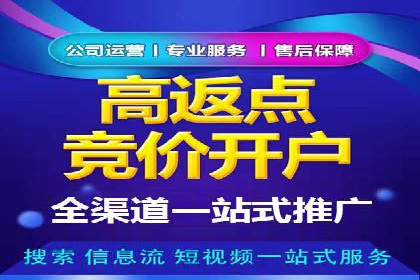 探索百度推广代理在电商行业的成功应用