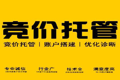 深度解析百度竞价推广公司案例：如何精准触达目标用户